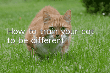 How to train your cat to be different