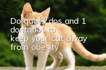 Do "3 dos and 1 don't" to keep your cat away from obesity