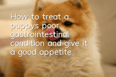 How to treat a puppy’s poor gastrointestinal condition and give it a good appetite