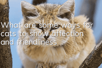 What are some ways for cats to show affection and friendliness?