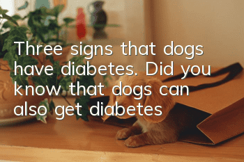 Three signs that dogs have diabetes. Did you know that dogs can also get diabetes?