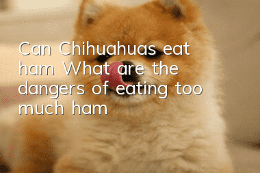 Can Chihuahuas eat ham? What are the dangers of eating too much ham?