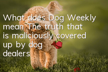 What does Dog Weekly mean? The truth that is maliciously covered up by dog ​​dealers