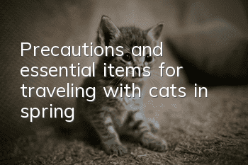 Precautions and essential items for traveling with cats in spring