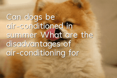 Can dogs be air-conditioned in summer? What are the disadvantages of air-conditioning for dogs?