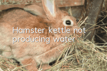 Hamster kettle not producing water