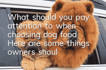 What should you pay attention to when choosing dog food? Here are some things owners should know