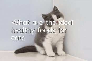 What are the ideal healthy foods for cats?