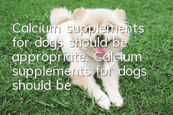 Calcium supplements for dogs should be appropriate. Calcium supplements for dogs should be appropriate, otherwise it will be more dangerous.