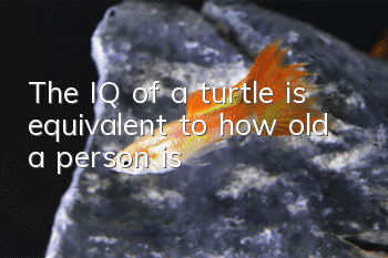 The IQ of a turtle is equivalent to how old a person is