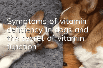 Symptoms of vitamin deficiency in dogs and the secret of vitamin function