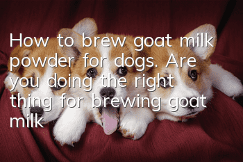 How to brew goat milk powder for dogs. Are you doing the right thing for brewing goat milk powder for dogs?