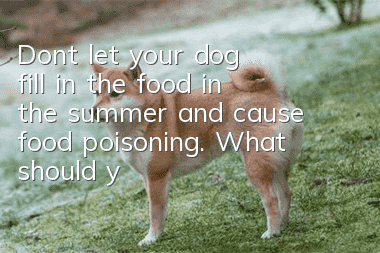 Don’t let your dog fill in the food in the summer and cause food poisoning. What should you do if your dog is poisoned?