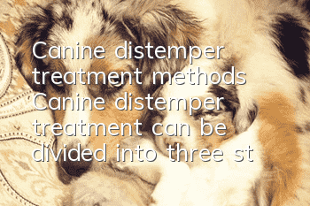 Canine distemper treatment methods Canine distemper treatment can be divided into three stages of treatment: early, middle and late!