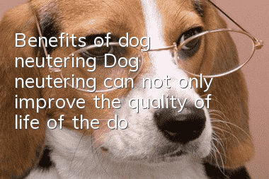 Benefits of dog neutering Dog neutering can not only improve the quality of life of the dog but also the owner!