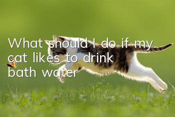 What should I do if my cat likes to drink bath water?