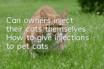 Can owners inject their cats themselves? How to give injections to pet cats