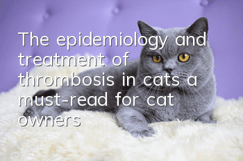 The epidemiology and treatment of thrombosis in cats, a must-read for cat owners!