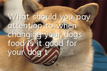 What should you pay attention to when changing your dog’s food? Is it good for your dog to feed a single dog food?