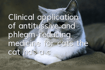 Clinical application of antitussive and phlegm-reducing medicine for cats, the cat has a cough!