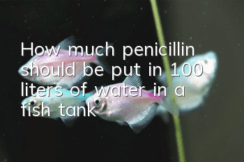 How much penicillin should be put in 100 liters of water in a fish tank?