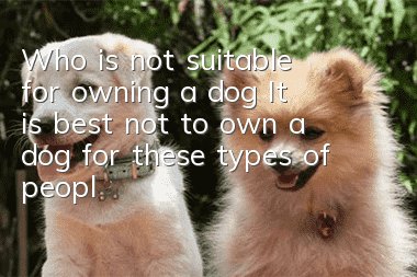 Who is not suitable for owning a dog? It is best not to own a dog for these types of people