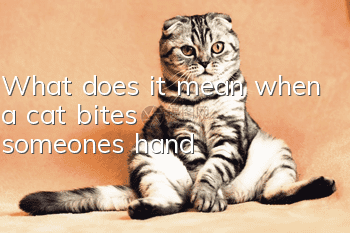 What does it mean when a cat bites someone's hand?