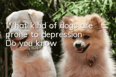 What kind of dogs are prone to depression? Do you know?