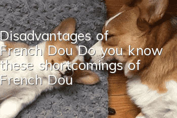 Disadvantages of French Dou Do you know these shortcomings of French Dou?