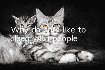 Why do cats like to sleep with people?