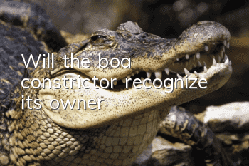 Will the boa constrictor recognize its owner?