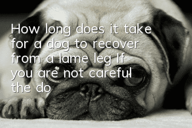 How long does it take for a dog to recover from a lame leg? If you are not careful, the dog will be disabled for life