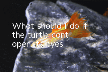 What should I do if the turtle can't open its eyes?