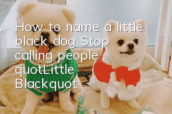 How to name a little black dog? Stop calling people "Little Black"