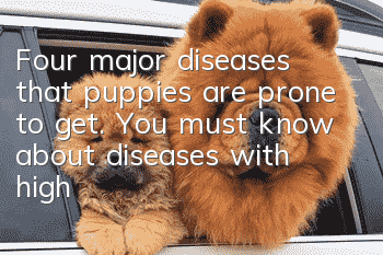 Four major diseases that puppies are prone to get. You must know about diseases with high mortality and easy misdiagnosis.