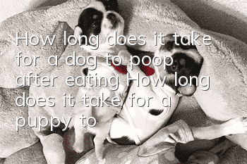 How long does it take for a dog to poop after eating? How long does it take for a puppy to poop after eating?