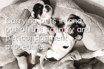 Carrying pets in and out of the country and pet consignment procedures