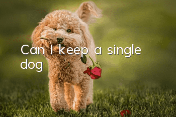 Can I keep a single dog?