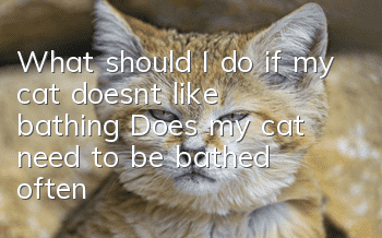 What should I do if my cat doesn’t like bathing? Does my cat need to be bathed often?