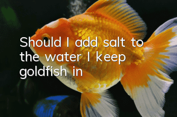 Should I add salt to the water I keep goldfish in?