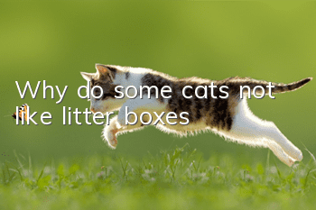 Why do some cats not like litter boxes?