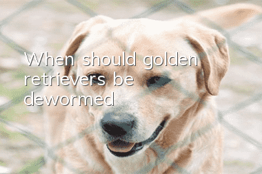 When should golden retrievers be dewormed?