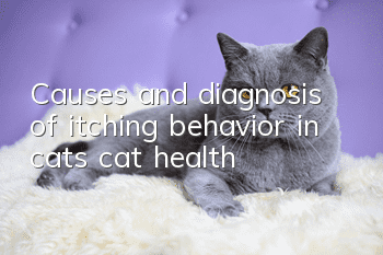 Causes and diagnosis of itching behavior in cats, cat health!