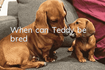 When can Teddy be bred?