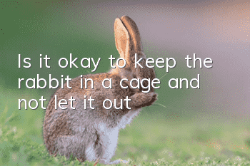 Is it okay to keep the rabbit in a cage and not let it out?