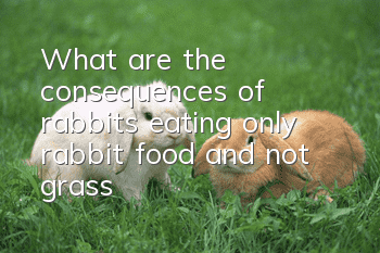 What are the consequences of rabbits eating only rabbit food and not grass?