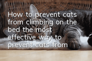 How to prevent cats from climbing on the bed (the most effective way to prevent cats from climbing on the bed)