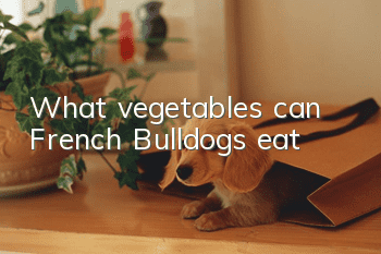 What vegetables can French Bulldogs eat?