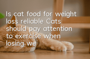 Is cat food for weight loss reliable? Cats should pay attention to exercise when losing weight