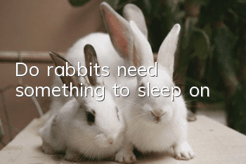 Do rabbits need something to sleep on?